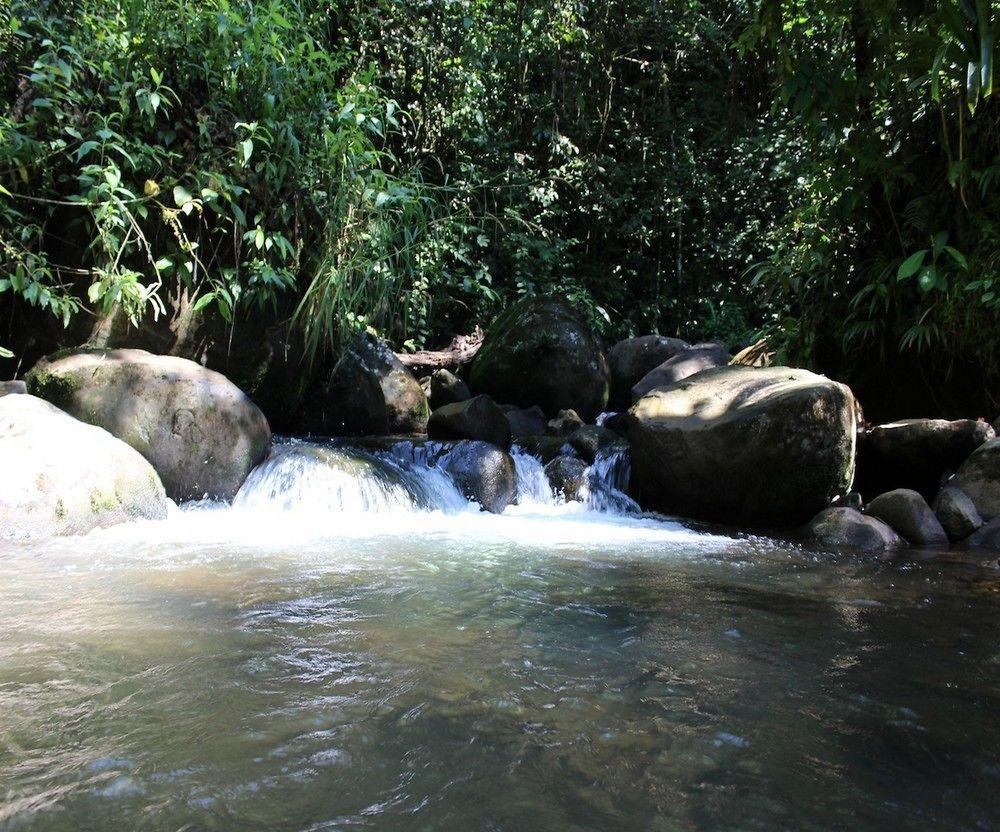 Agua 3*