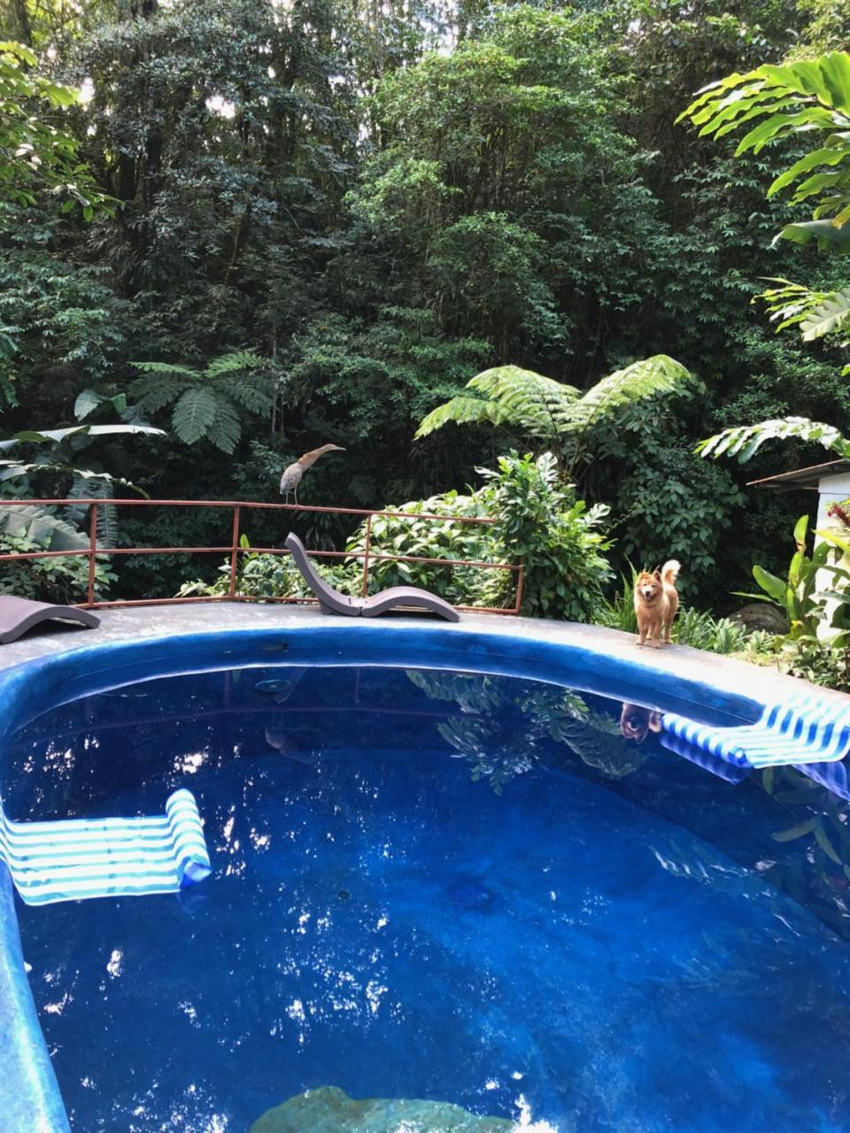 Agua Nuevo Arenal